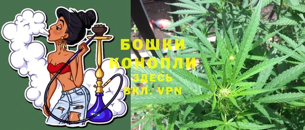 MDMA Новозыбков