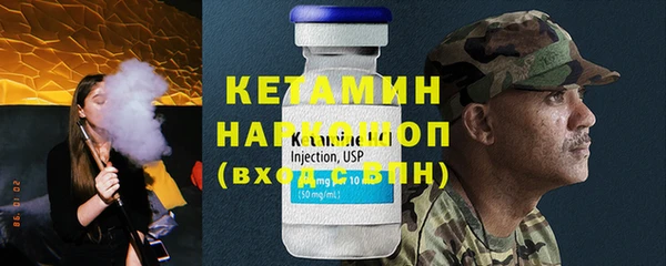 гашик Няндома
