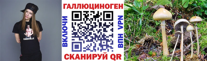 Псилоцибиновые грибы мухоморы  MEGA зеркало  Полярный 